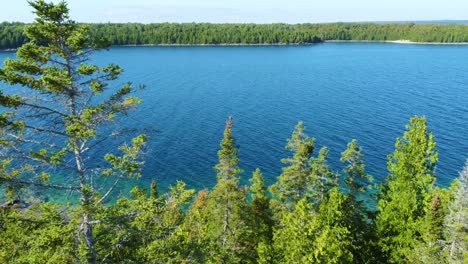Panoramic-aerial-overview-of-coniferous-trees-lining-stunning-blue-water-bay-with-strong-current