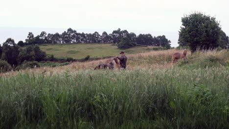 Farmer-and-Horses-Grazing-in-Green-Field