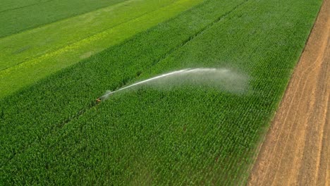 Spraying-Water-On-The-Green-Vegetations-In-The-Field-Using-Irrigation-Sprinkler