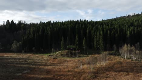 Holzhütte-Inmitten-Immergrüner-Wälder-In-Indre-Fosen,-Norwegen