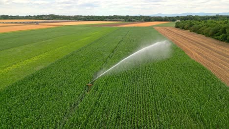 Nachhaltige-Bewässerungslandwirtschaft-Mit-Wachsenden-Gemüsefeldern-In-Der-Ackerregion-Marchfeld,-Österreich
