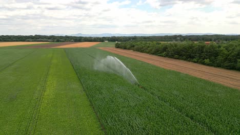 Aerial-View-Of-Water-Spray-On-Agricultural-Crop-Fields-In-Marchfeld,-Austria