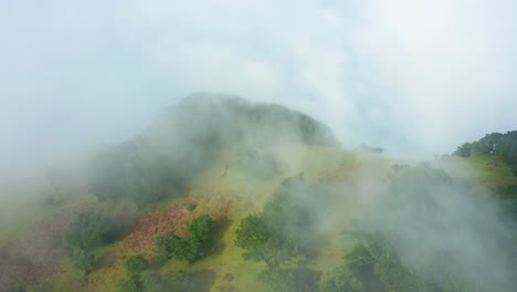 Clouds-rolling-over-Madeira-Fanal-forest-with-evergreen-trees-in-mountains