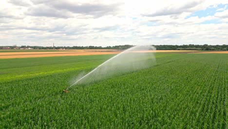Irrigation-Sprinklers-In-A-Vegetable-Farm-Field-In-Marchfeld-Region,-Austria