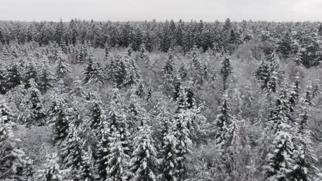 Aerial-view-of-a-snowy-forest-in-northern-germany