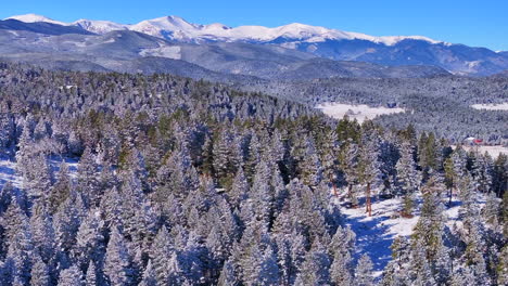 Christmas-first-snow-Evergreen-Three-Sisters-Front-Range-Denver-Mount-Blue-Sky-Evans-aerial-cinematic-drone-crisp-freezing-cold-morning-beautiful-blue-sky-frosted-pine-trees-zoomed-forward-pan-motion