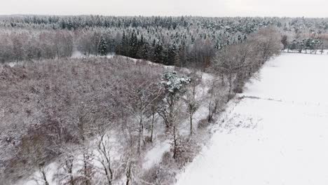 Luftaufnahme-Eines-Verschneiten-Waldes-In-Norddeutschland