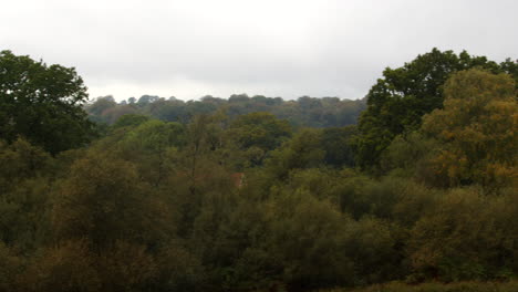 extra-wide-panning-shot-of-the-New-Forest-tree-canopy-taking-from-a-high-vantage-point-in-the-New-Forest