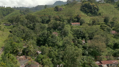Establishing-Aerial-Drone-Shot-of-Rural-Landscape-in-Demodara-with-Trees-Tea-Plantations-and-Houses-in-Sri-Lanka