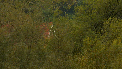 Langsames-Zoomen-Auf-Die-Giebelseite-Eines-Zwischen-Den-Bäumen-Versteckten-Hauses-Im-Neuen-Wald