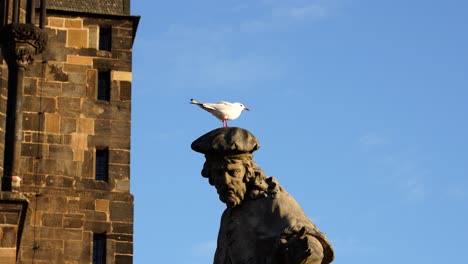 Outdoor-statue-of-Ivo-of-Kermartin-on-Charles-Bridge-with-seagull-on-top