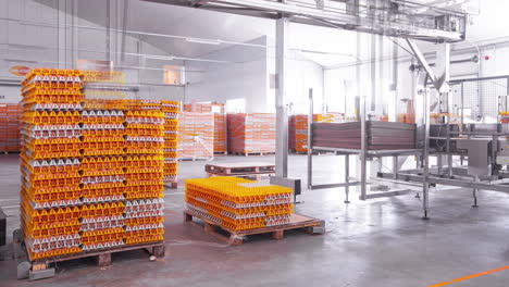 Time-lapse-of-egg-cartons-piling-up-ready-for-transport,-at-a-agribusiness-farm