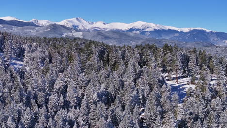 Christmas-first-snow-Evergreen-Three-Sisters-Front-Range-Denver-Mount-Blue-Sky-Evans-aerial-cinematic-drone-crisp-freezing-cold-morning-beautiful-blue-sky-frosted-pine-trees-forward-pan-up-reveal