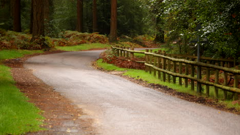 wide-shot-of-a-New-Forest-single-track-Road-with-wooden-fencing-to-right-of-frame
