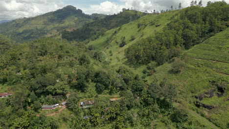 Establishing-Aerial-Drone-Shot-of-Sri-Lankan-Highlands-Hill-Country-with-Trees-and-Tea-Plantations