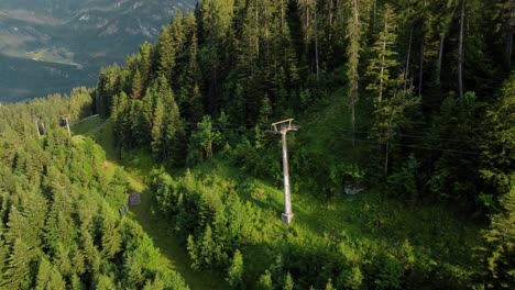 Pole-of-a-rope-way-in-a-forest-in-the-Alps-in-Lofer,-Austria
