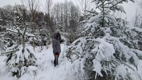 Una-Señora-Sosteniendo-Una-Sierra-Caminando-En-Un-Bosque-Cubierto-De-Nieve-En-Un-Clima-Nublado