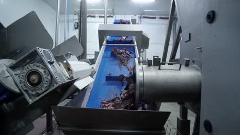 Fischereiindustrie:-Ein-Automatischer-Fischfilet-Selektor-Für-Meeresfrüchteteile