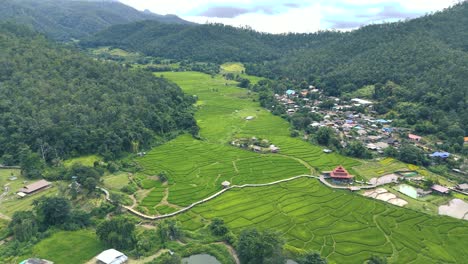 Luftaufnahme-Der-Tropischen-Landschaft-Der-Bambusbrücke-Pai-In-Thailand-Mit-Dorf-Und-Exotischen-Feldern