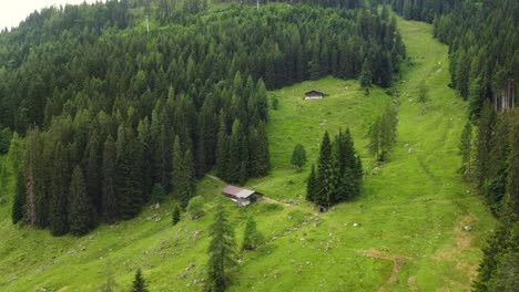 Two-huts-surrounded-by-green-fields-and-a-forest-in-the-Alps-in-Lofer,-Austria
