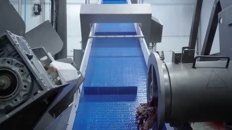 Fishery-industry:-a-fish-fillet-automated-selector,-separates-and-moves-seafood-parts