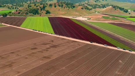 Using-migrant-labor-to-work-farmland-fields-of-crops-near-Salinas,-California---aerial-flyover
