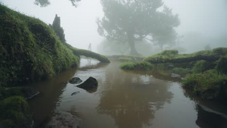 Ghostly-woman-walking-in-distance-of-misty-Fanal-forest-with-muddy-rain-pool