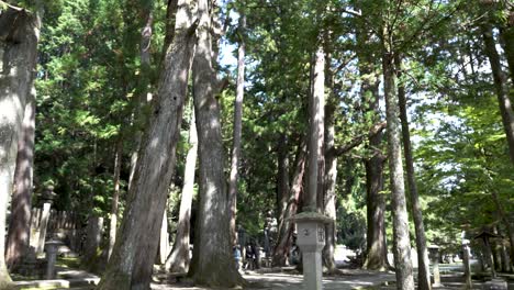 Scenic-shot-of-the-Okunoin-forest-cemetery-entrance-in-Koyasan-with-huge-old-trees