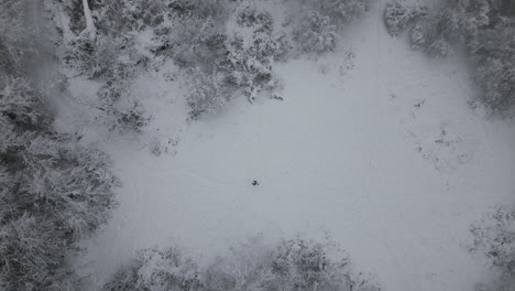 Aerial-Footage-of-man-walking-in-snow-in-forest
