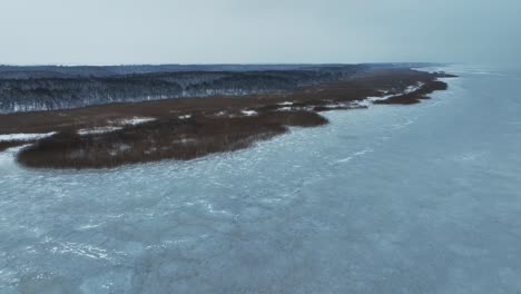 Panoramic-view-The-shore-of-a-large-body-of-water-is-covered-with-tall-grass-in-winter,-and-further-on-there-is-a-forest-of-tall-trees