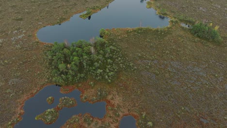 Beautiful-establishing-aerial-birdseye-view-of-bog-landscape-with-lakes-on-an-overcast-autumn-day,-Dunika-peat-bog-,-small-pine-trees,-wide-angle-birdseye-drone-shot-moving-forward