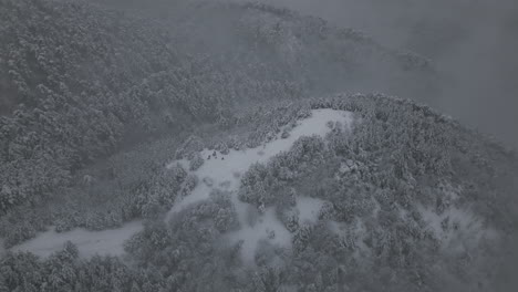 Areal-Footage-of-Winter-forest,-snow-and-foggy