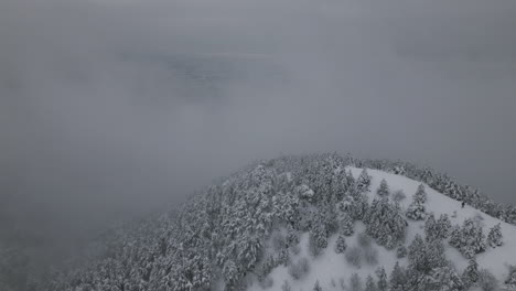 Aerial-Footage-of-snow-in-forest
