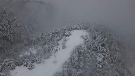 Luftaufnahmen-Von-Wäldern-Im-Winter,-4K-Drohne,-Schnee