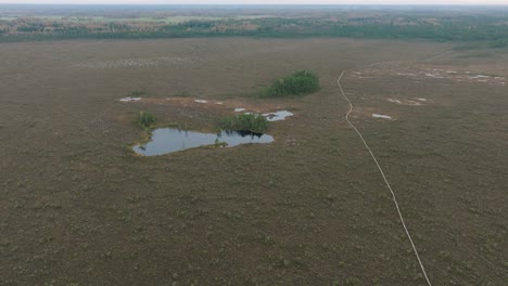 Beautiful-establishing-aerial-birdseye-view-of-bog-landscape-with-lakes-on-an-overcast-autumn-day,-Dunika-peat-bog-,-small-pine-trees,-wide-angle-drone-shot-moving-forward-tilt-down