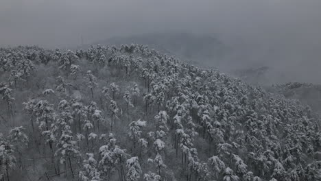Winterurlaub-Luftaufnahmen-Eines-Verschneiten-Waldes