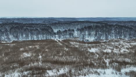 Panoramic-view-of-a-frozen-marsh-with-dense-grasses