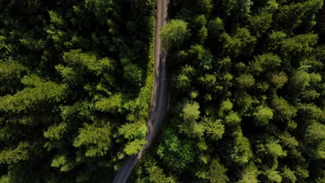Aerial:-Flying-High-Above-A-Road-Leading-Through-The-Woods