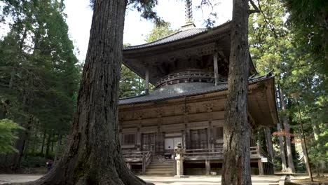 Majestuosa-Pagoda-Del-Oeste-Vista-Entre-Dos-árboles-En-Koyasan