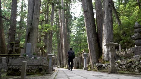 Solo-Male-Backpacker-Walking-Through-Okunoin-Forest-Cemetery-In-Wakayama-With-Cedar-Trees-In-Background