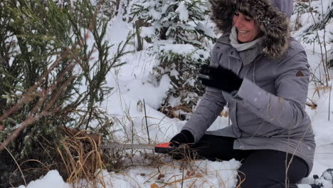 Happy,-smiling-woman-cutting-down-a-Christmas-tree-in-a-snowy-forest-with-a-saw
