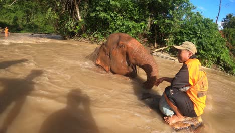 Elephants-are-being-bathed-at-the-Chiang-Mai-Elephant-Sanctuary-in-Thailand