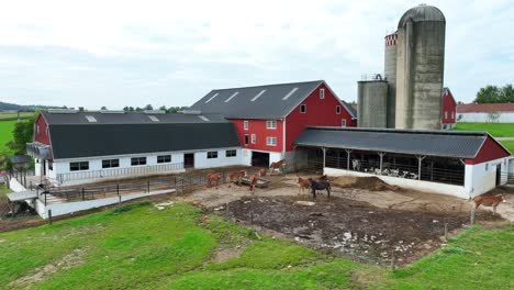 Horses-at-American-farm-with-barns-and-silos