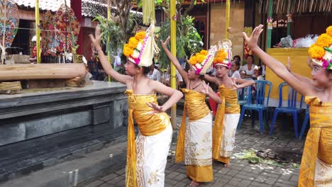 Las-Niñas-Balinesas-Bailan-Coreografía-Rejang-Dewa-Actuación-Indonesia-En-La-Ceremonia-Del-Templo