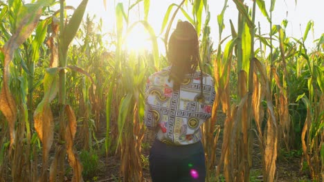 Mujer-Agricultora-Africana-Ingeniera-Con-Ropa-Tradicional-Usando-Una-Tableta-Digital-Moderna-Que-Monitorea-El-Cultivo-En-Plantaciones-De-Granos-De-Trigo-En-África,-Agricultura-De-Precisión-Concepto-Agritech