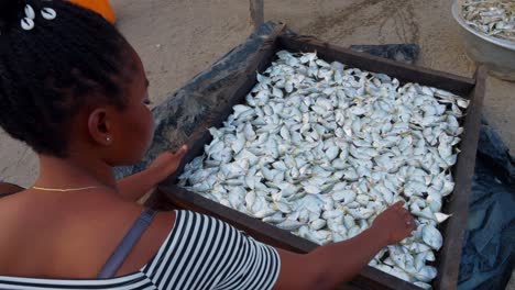 Mujer-Africana-Negra-Organiza-Pescado-Seco-En-Una-Aldea-De-Pescadores-En-El-Estilo-De-Vida-Remoto-De-África