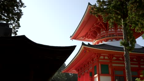Mirando-Hacia-La-Gran-Pagoda-Central-En-Koyasan-En-Una-Tarde-Soleada