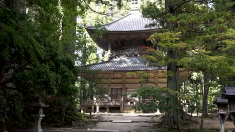 Male-Tourist-Walking-Towards-Kongobu-ji-Saito-West-Pagoda-At-Koyasan-In-Serene-Forest-Setting