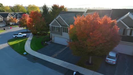 Colorful-tree-at-in-neighborhood-of-townhouses-during-autumn-sunrise