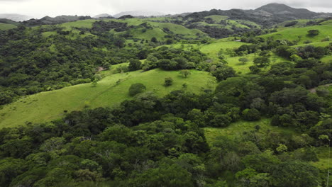 Vista-Aérea-De-La-Vegetación-Verde-Del-Campo-Terrestre-En-Las-Colinas-Tropicales-De-Costa-Rica,-Centroamérica,-Destino-De-Vacaciones.